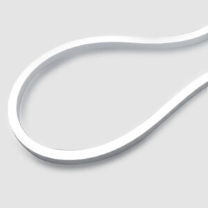 FS011010