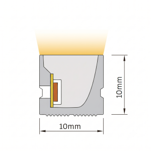 FS011010